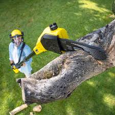 Best Aeration Services  in Moyock, NC